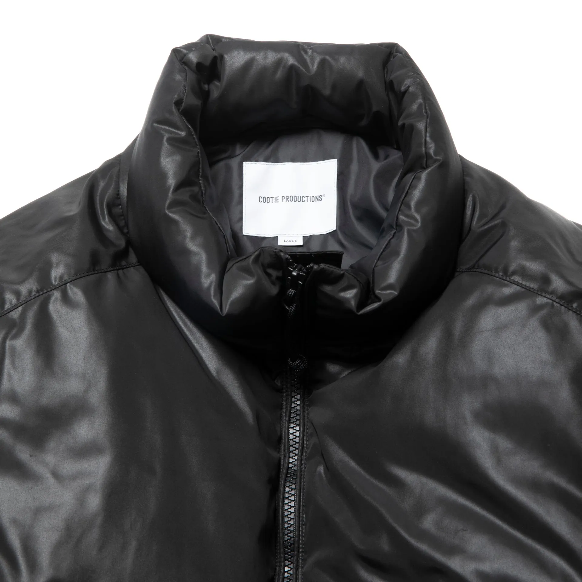 Glossy Shell Down Jacket